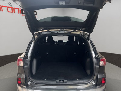 Ford Kuga 2.0 EcoBlue 120 CV aut. 2WD ST-Line X (7)