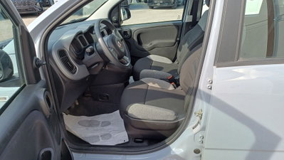 Fiat Panda Cross Cross 1.0 FireFly S&S Hybrid (10)