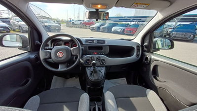 Fiat Panda Cross Cross 1.0 FireFly S&S Hybrid (11)