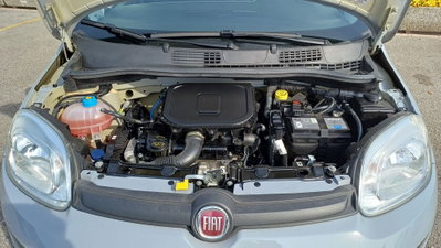 Fiat Panda Cross Cross 1.0 FireFly S&S Hybrid (19)