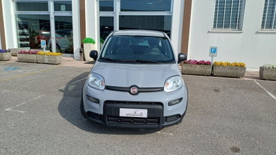 Fiat Panda Cross Cross 1.0 FireFly S&S Hybrid (2)