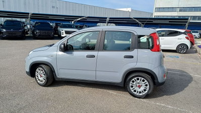 Fiat Panda Cross Cross 1.0 FireFly S&S Hybrid (3)