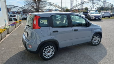 Fiat Panda Cross Cross 1.0 FireFly S&S Hybrid (5)