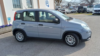 Fiat Panda Cross Cross 1.0 FireFly S&S Hybrid (6)