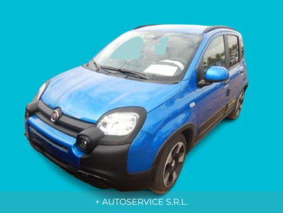 Fiat Panda 1.0 FireFly S&S Hybrid City Cross usata