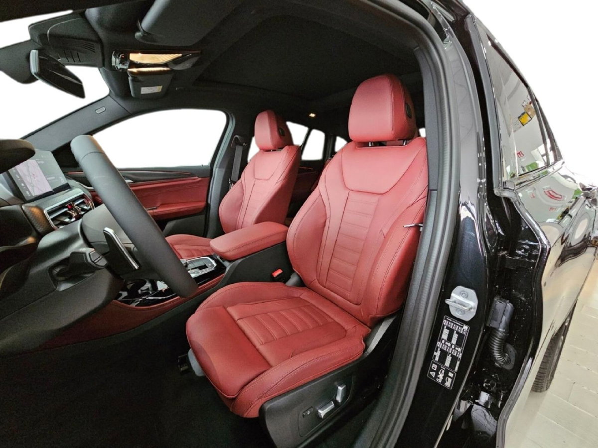 BMW X4 xDrive20d (8)