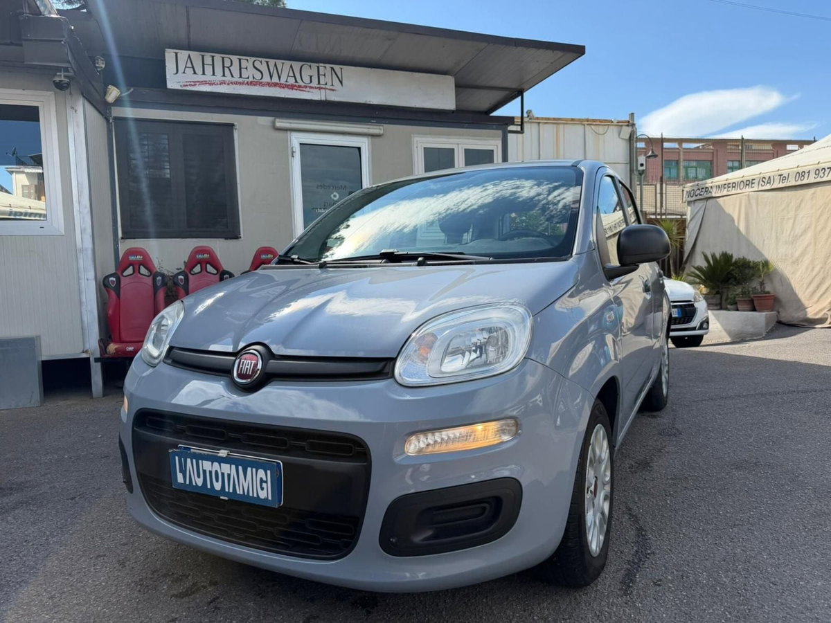 Fiat Panda Cross Cross 1.0 FireFly S&S Hybrid (2)