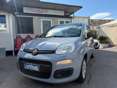 Fiat Panda Cross Cross 1.0 FireFly S&S Hybrid (2)