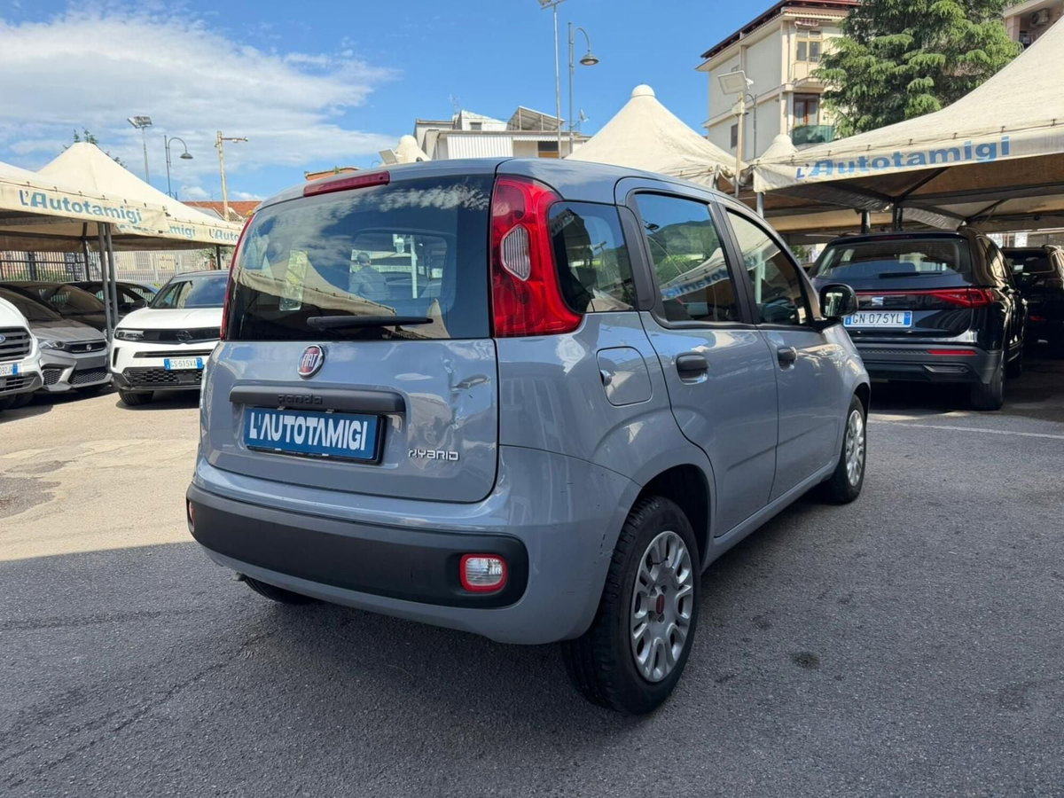 Fiat Panda Cross Cross 1.0 FireFly S&S Hybrid (3)
