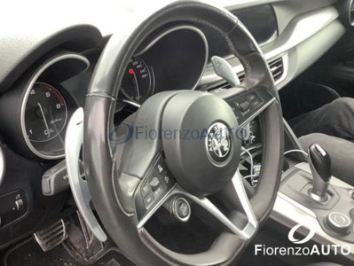 Alfa Romeo Stelvio Stelvio 2.2 Turbodiesel 210 CV AT8 Q4 Lusso (9)