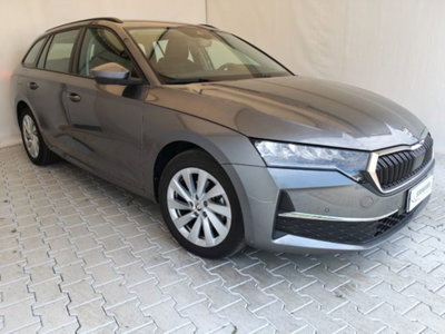 Skoda Octavia Station Wagon 2.0 tdi Selection 150cv dsg (3)