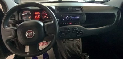 Fiat Panda 1.0 firefly hybrid s&s 70cv 5p.ti (10)