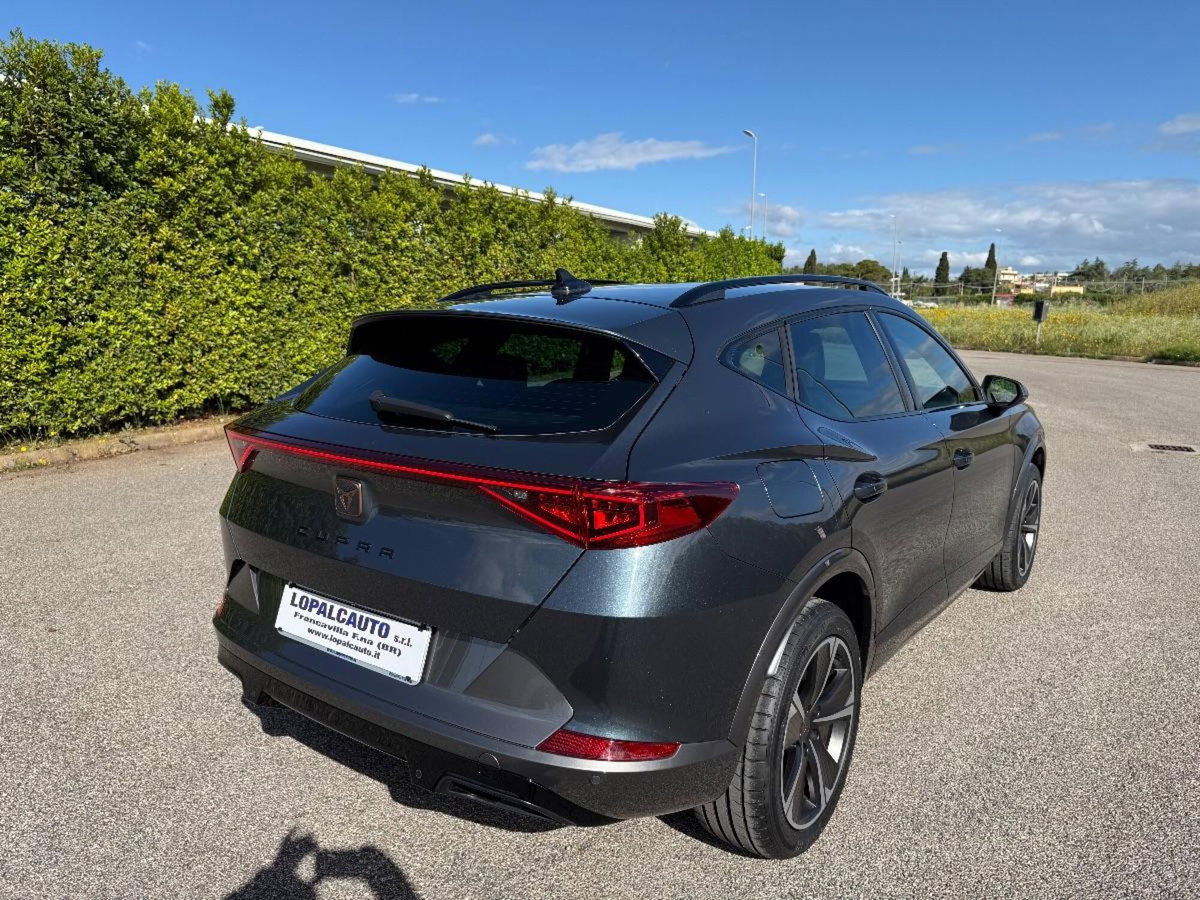 Cupra Formentor Formentor 2.0 TDI (2)