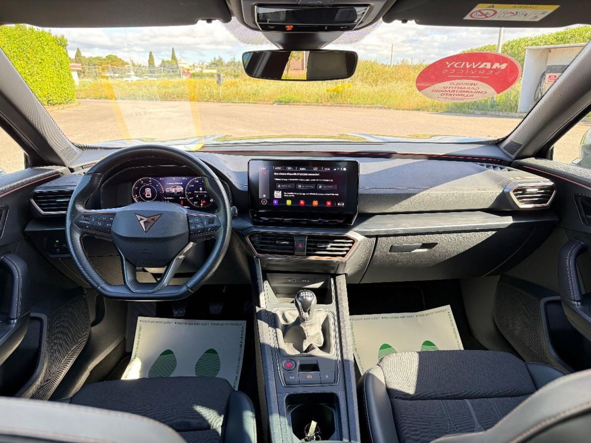 Cupra Formentor Formentor 2.0 TDI (12)