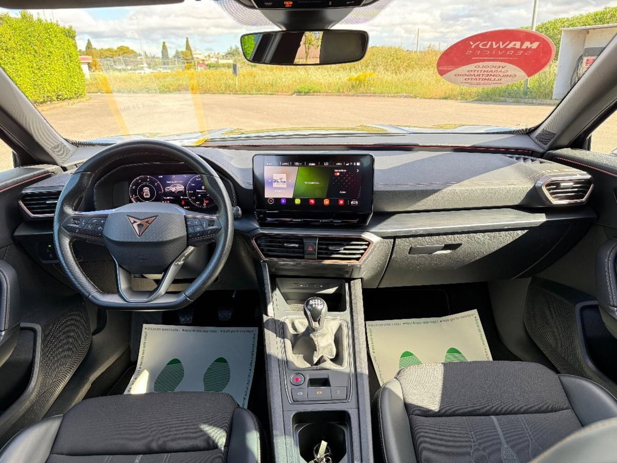 Cupra Formentor Formentor 2.0 TDI (13)