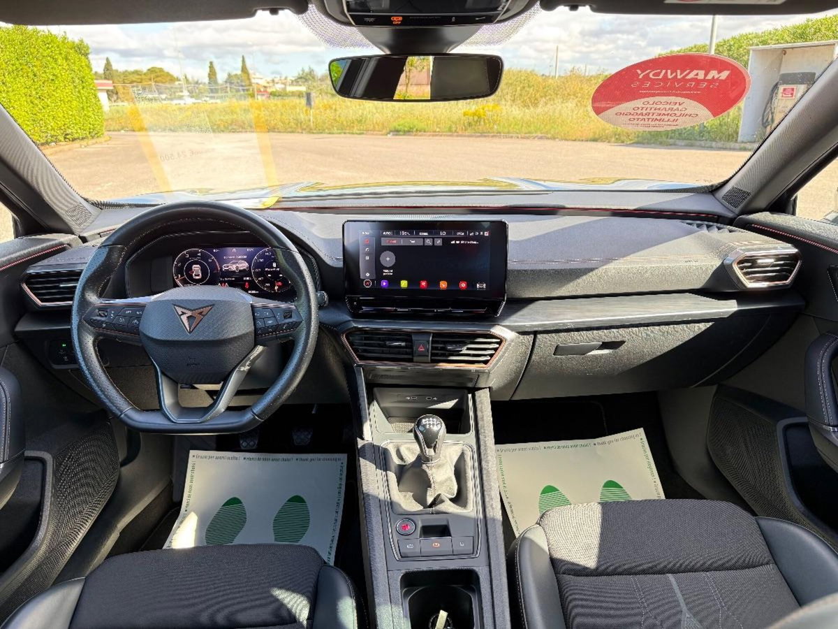 Cupra Formentor Formentor 2.0 TDI (14)