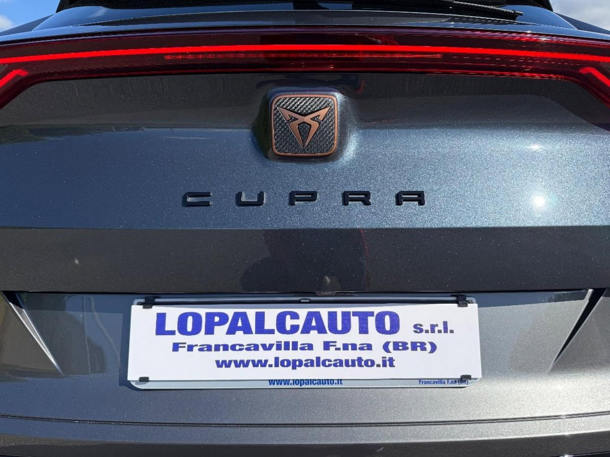 Cupra Formentor Formentor 2.0 TDI (18)