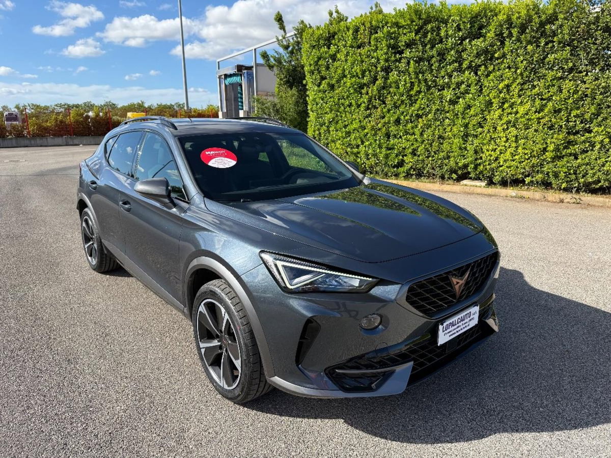 Cupra Formentor Formentor 2.0 TDI (3)