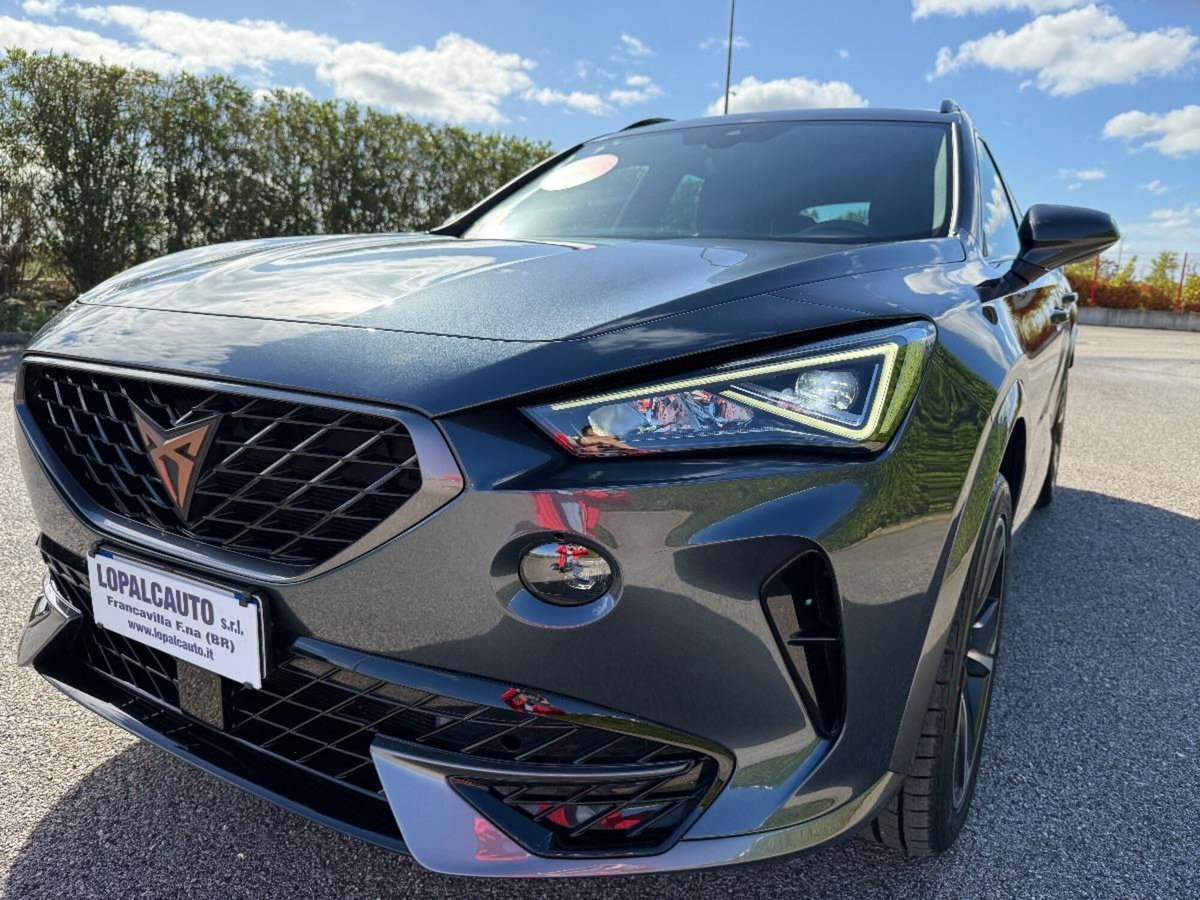 Cupra Formentor Formentor 2.0 TDI (5)