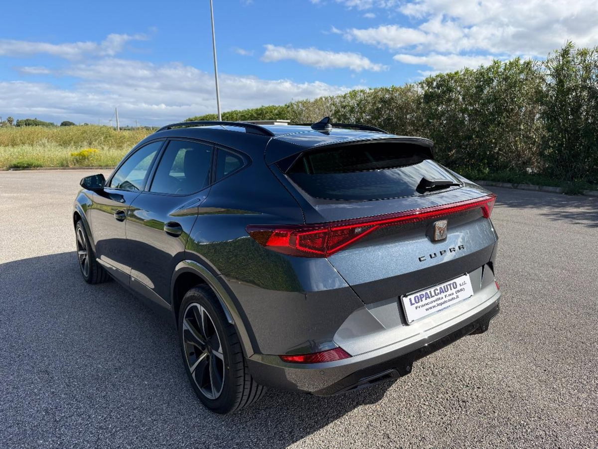 Cupra Formentor Formentor 2.0 TDI (6)