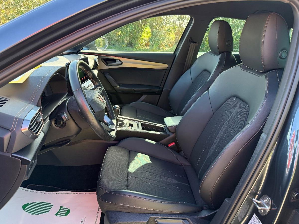 Cupra Formentor Formentor 2.0 TDI (9)