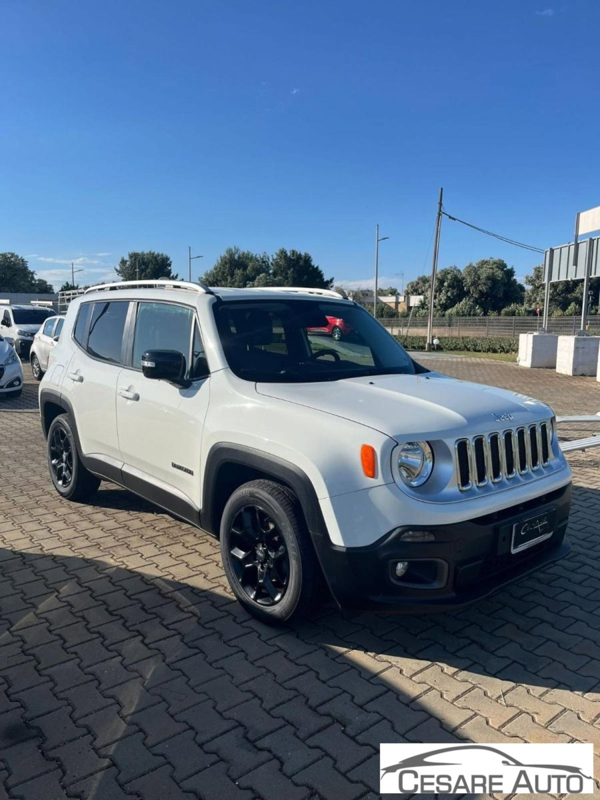 Jeep Renegade 1.6 Mjt 120 CV Limited (4)