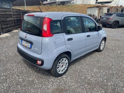 Fiat Panda 1.0 firefly hybrid s&s 70cv 5p.ti (11)
