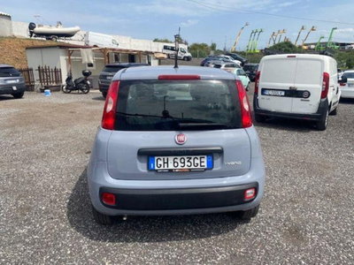 Fiat Panda 1.0 firefly hybrid s&s 70cv 5p.ti (12)
