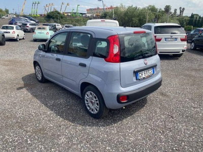 Fiat Panda 1.0 firefly hybrid s&s 70cv 5p.ti (13)