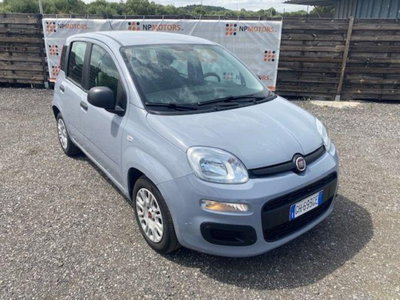 Fiat Panda 1.0 firefly hybrid s&s 70cv 5p.ti (2)