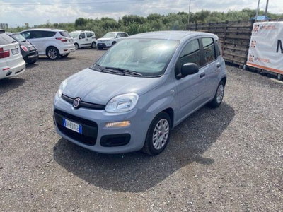 Fiat Panda 1.0 firefly hybrid s&s 70cv 5p.ti (3)
