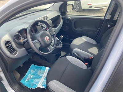 Fiat Panda 1.0 firefly hybrid s&s 70cv 5p.ti (4)