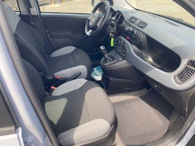 Fiat Panda 1.0 firefly hybrid s&s 70cv 5p.ti (6)