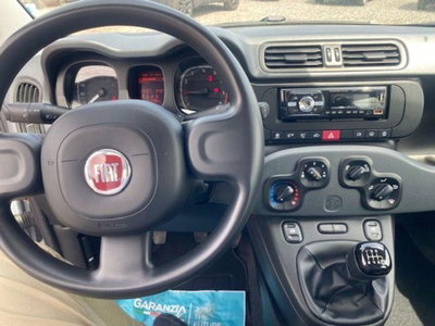Fiat Panda 1.0 firefly hybrid s&s 70cv 5p.ti (7)