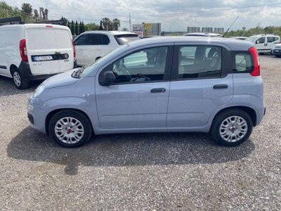 Fiat Panda 1.0 firefly hybrid s&s 70cv 5p.ti (9)