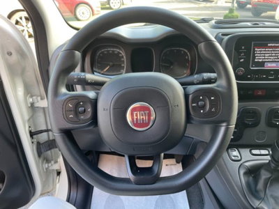 Fiat Panda 1.0 firefly hybrid s&s 70cv 5p.ti (14)
