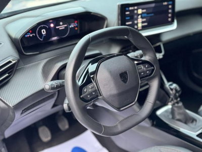 Peugeot 2008 PureTech 100 S&S Allure (14)