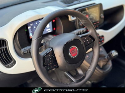 Fiat Panda Cross 1.0 firefly hybrid Cross s&s 70cv 5p.ti (13)