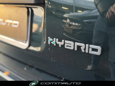 Fiat Panda Cross 1.0 firefly hybrid Cross s&s 70cv 5p.ti (8)
