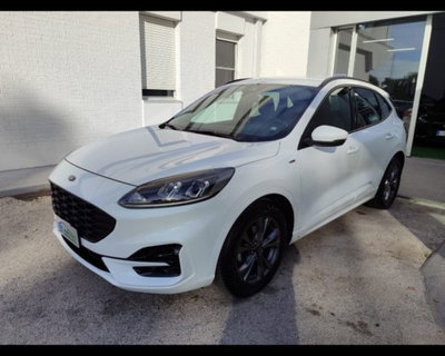 Ford Kuga 1.5 EcoBlue 120 CV 2WD ST-Line usata