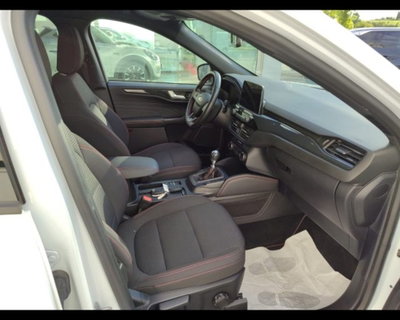 Ford Kuga 1.5 EcoBlue 120 CV 2WD ST-Line (10)