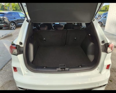 Ford Kuga 1.5 EcoBlue 120 CV 2WD ST-Line (17)