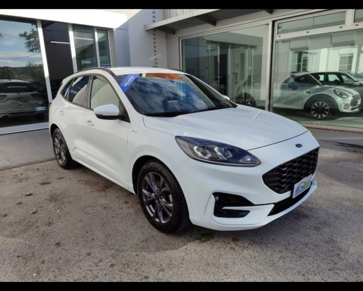 Ford Kuga 1.5 EcoBlue 120 CV 2WD ST-Line (3)
