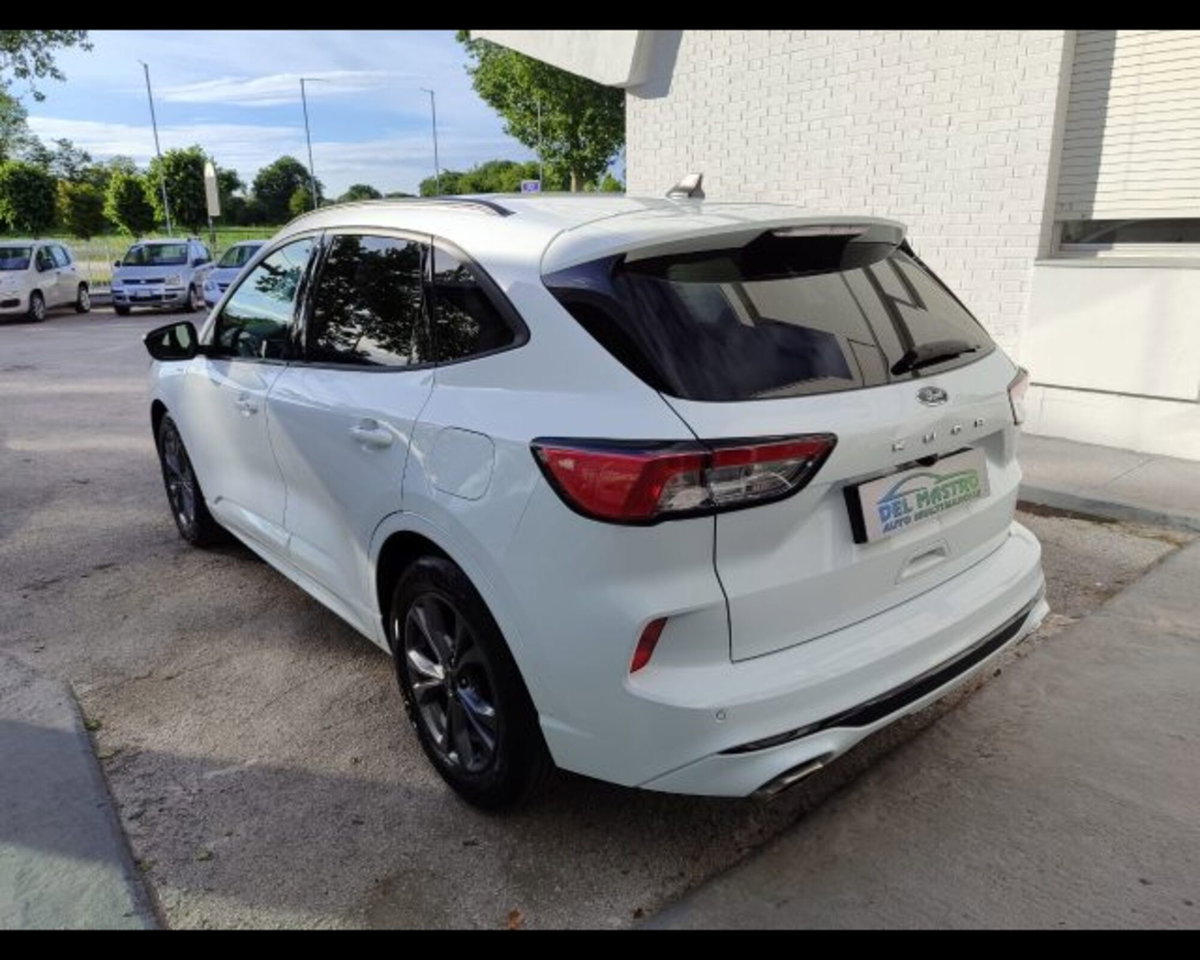 Ford Kuga 1.5 EcoBlue 120 CV 2WD ST-Line (4)
