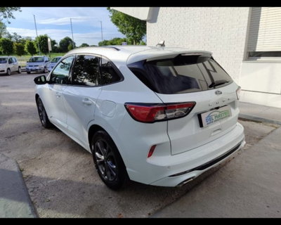 Ford Kuga 1.5 EcoBlue 120 CV 2WD ST-Line (4)