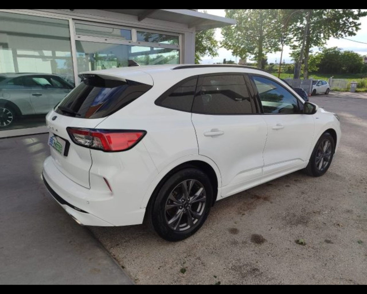 Ford Kuga 1.5 EcoBlue 120 CV 2WD ST-Line (5)