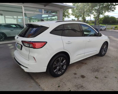 Ford Kuga 1.5 EcoBlue 120 CV 2WD ST-Line (5)