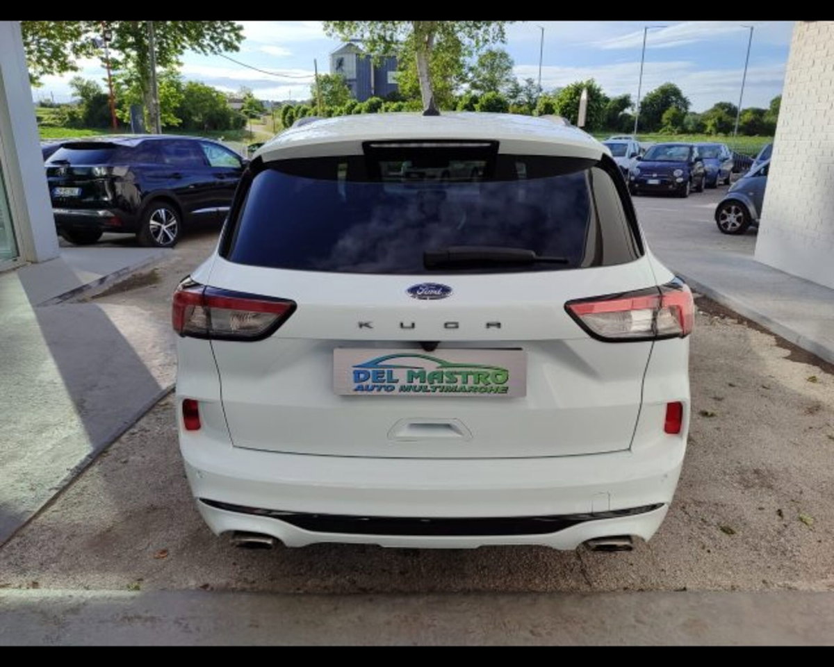 Ford Kuga 1.5 EcoBlue 120 CV 2WD ST-Line (6)