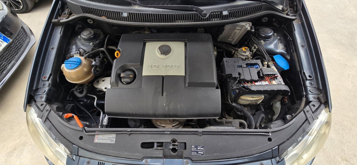 Volkswagen Polo 1.2 12V 3p. Trendline (18)