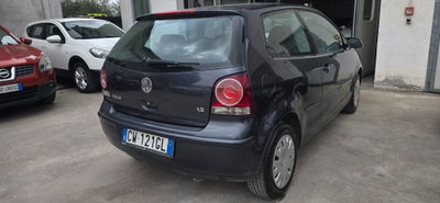 Volkswagen Polo 1.2 12V 3p. Trendline (3)